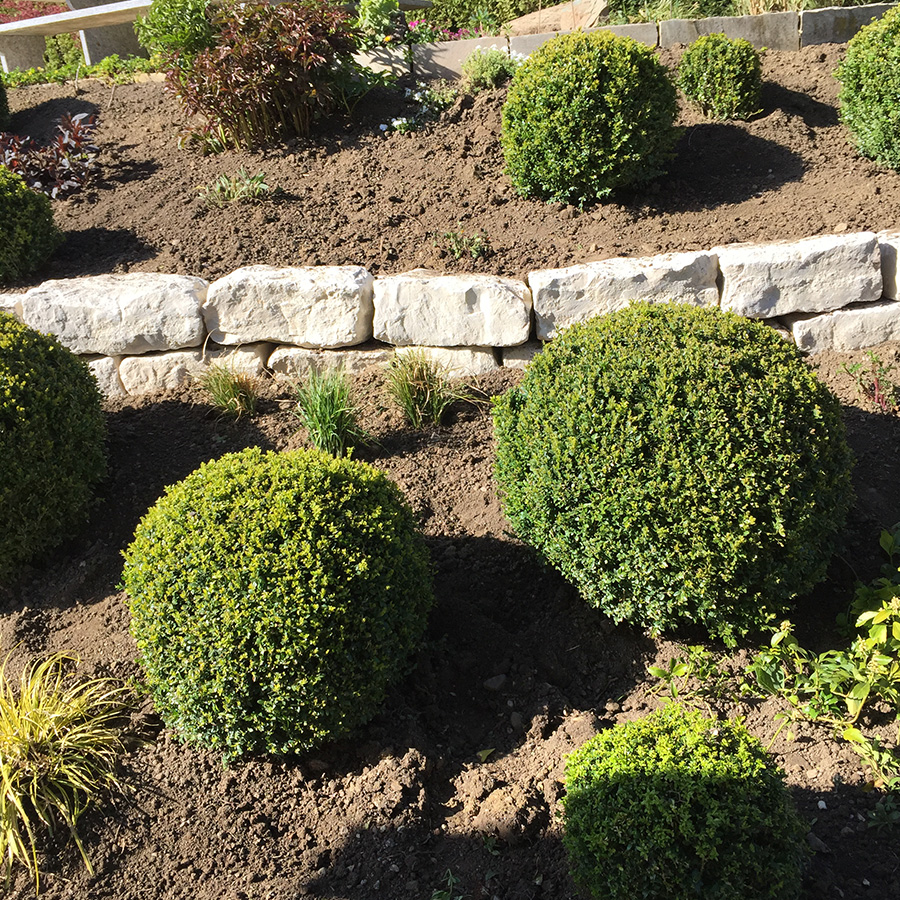 Ein Garten in Lieli von Grund auf neu gedacht - Bild 3