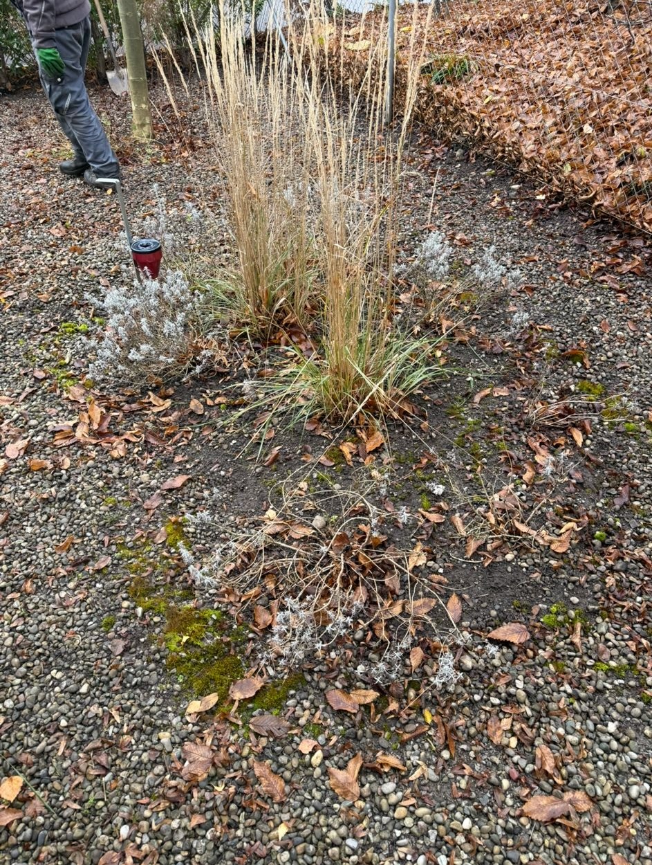 Vorher Neuer Glanz im Kiesbett in Oerlikon