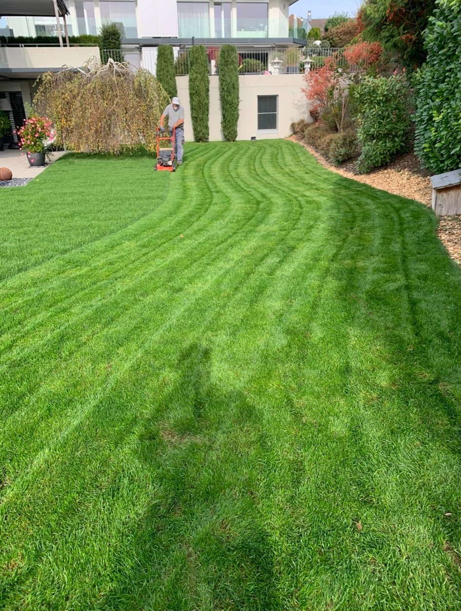 Rollrasen in Adlikon bei Regensdorf - Bild 2