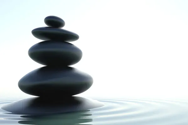 Health, Wellness & Longevity Circle