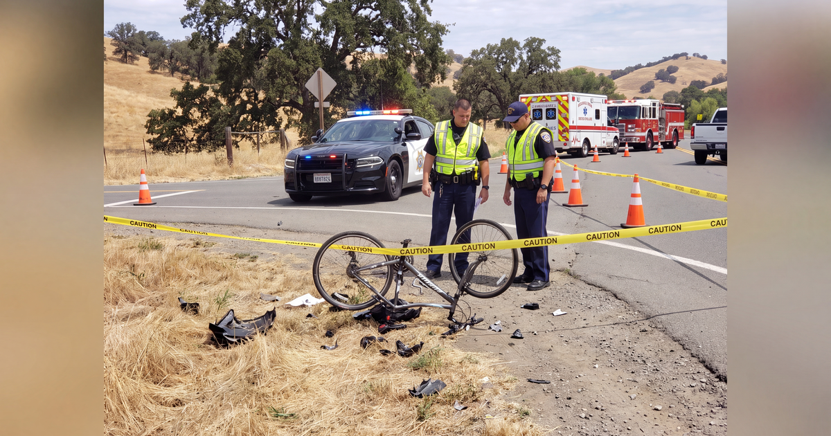 Bicyclist and Two Dogs Killed in Eight Mile Road Hit-and-Run in Stockton
