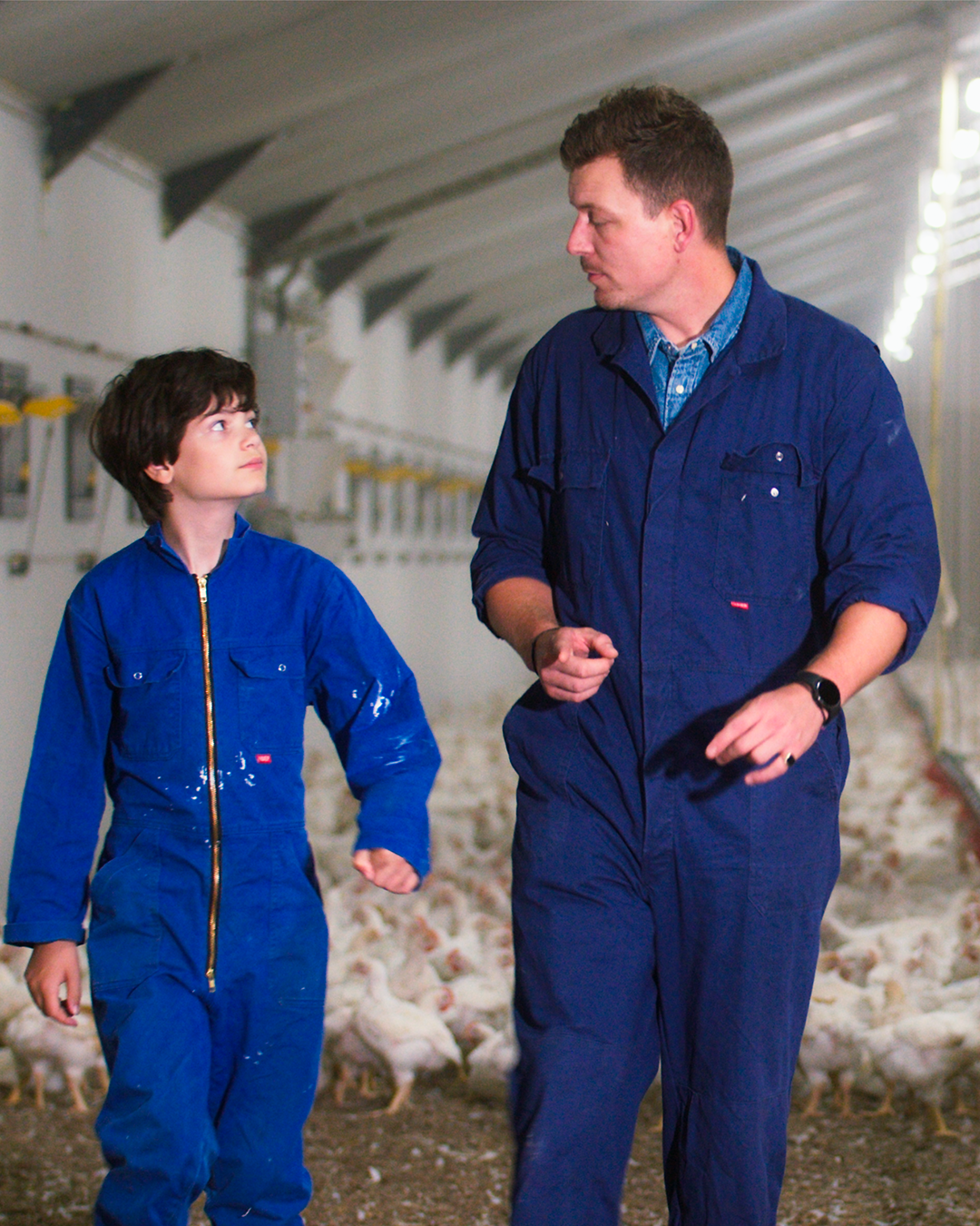 Een volwassene en een kind in blauwe overall lopen door een pluimveestal, omringd door witte kippen onder felle verlichting.