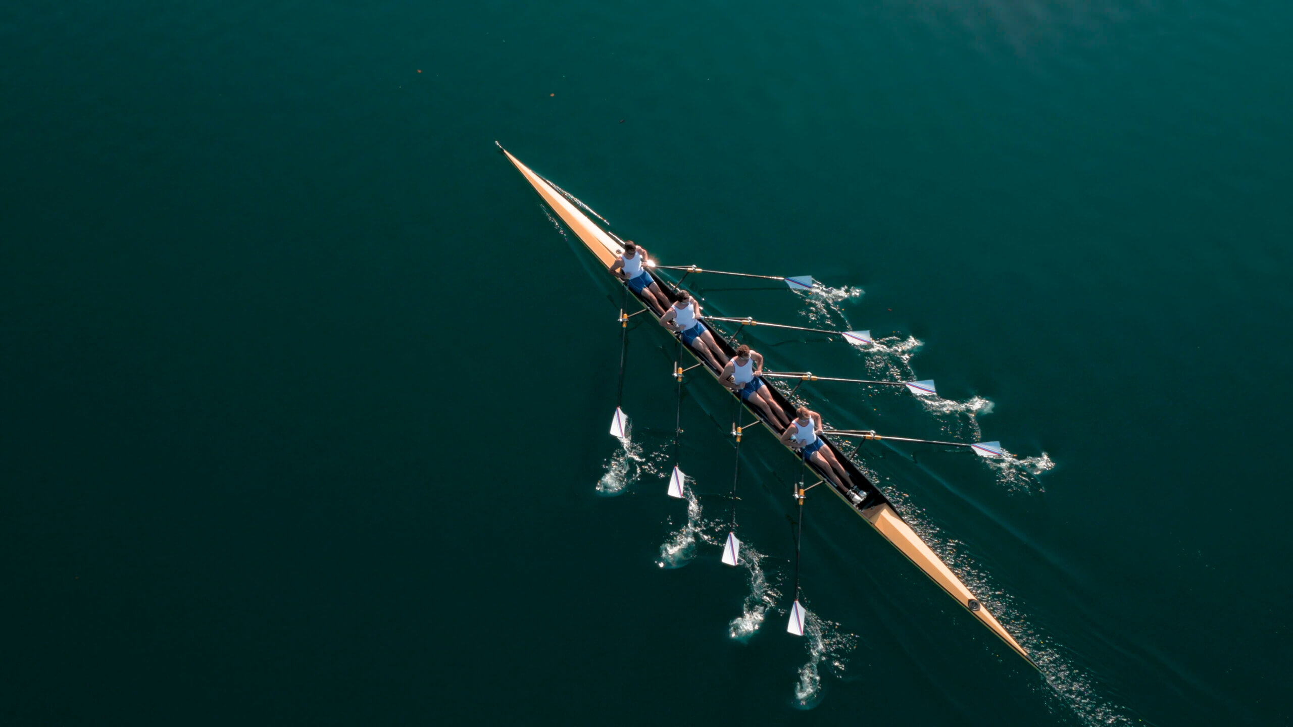 Four male athletes sculling on lake in sunshine