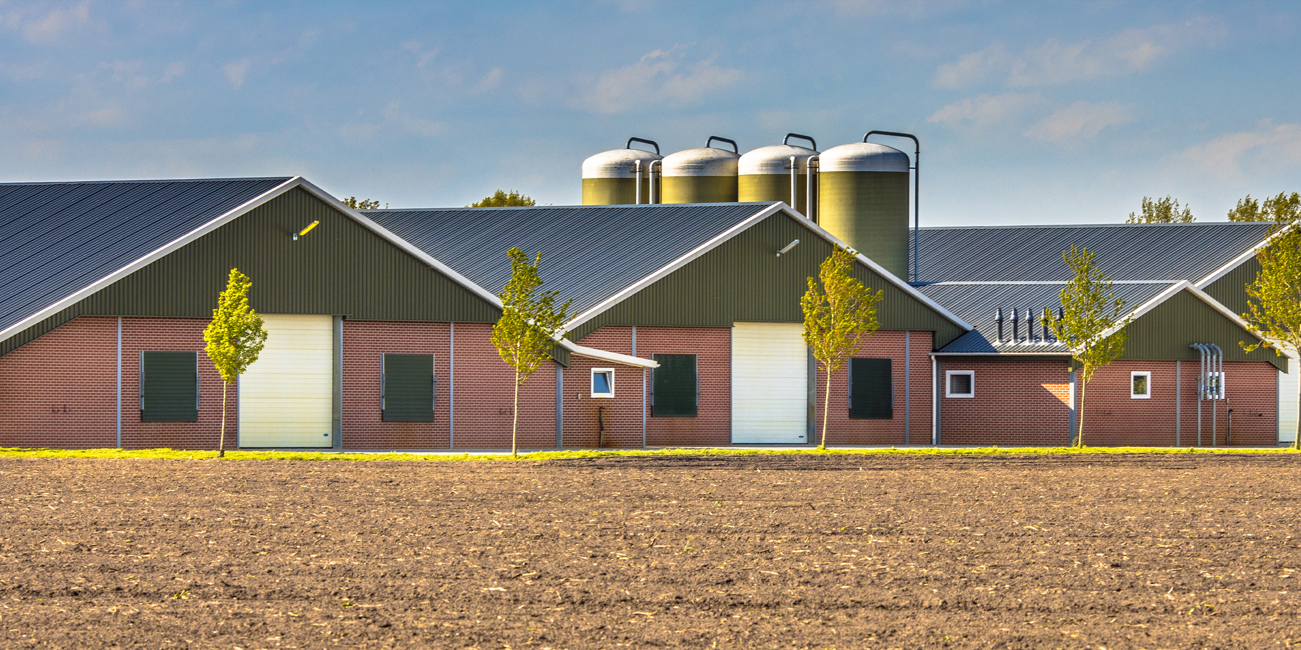 Pakkend lespakket over kippenvlees