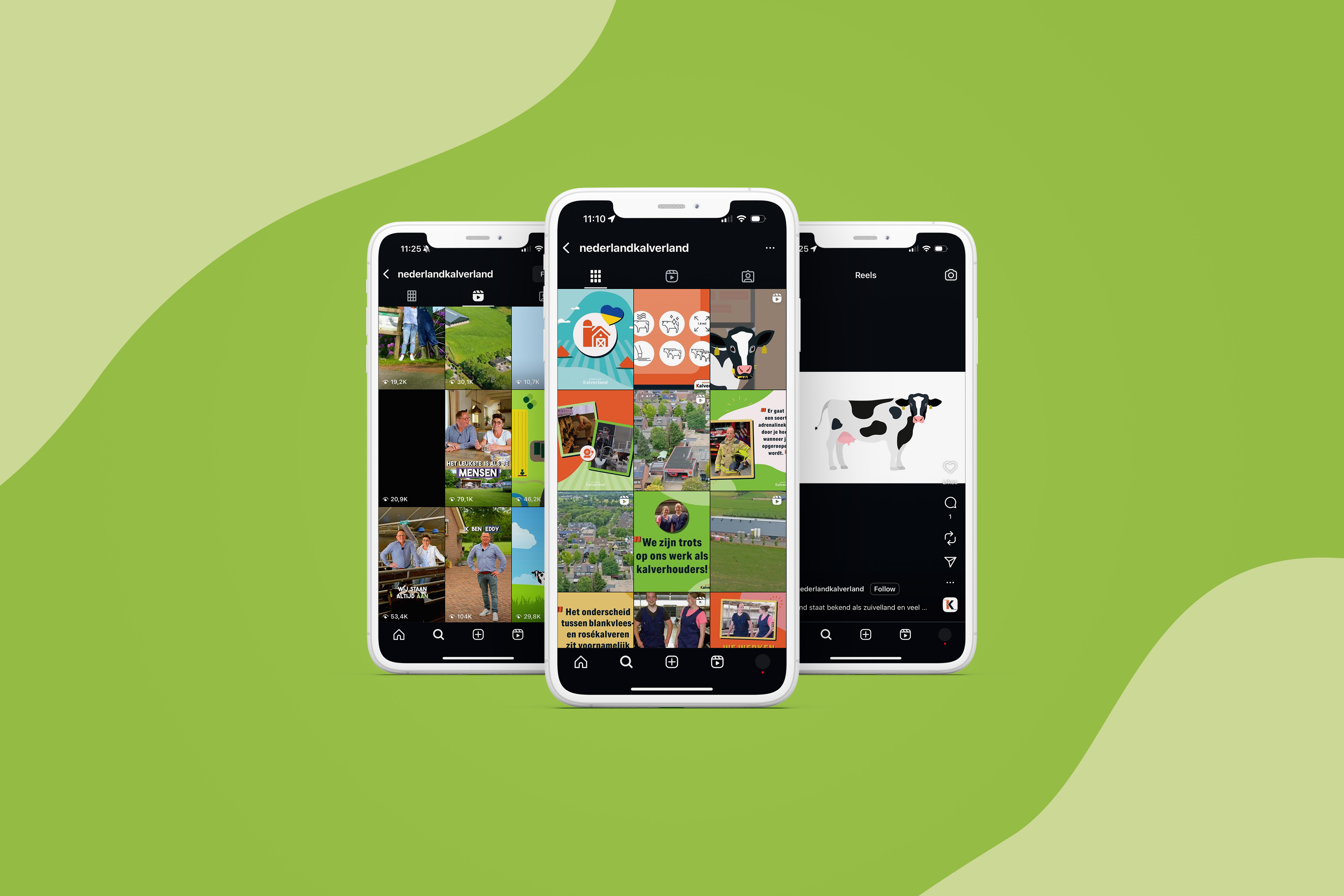 Stichting Brancheorganisatie Kalverhouderij