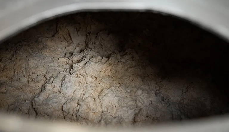 Eine große Rührschüssel voller frischem Germteig