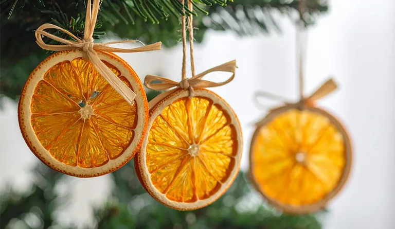 Getrocknete Orangenscheiben mit Bastbändern hängen in Christbaum