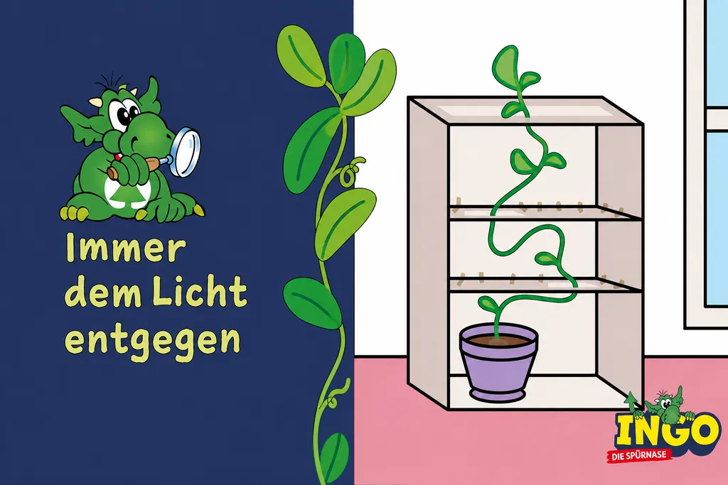Illustration einer Pflanze, die sich dem Licht am Fenster entgegen neigt