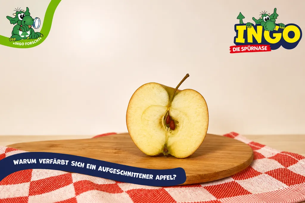 Halbierter Apfel auf einem Holzbrett zur Erklärung, warum sich ein aufgeschnittener Apfel verfärbt