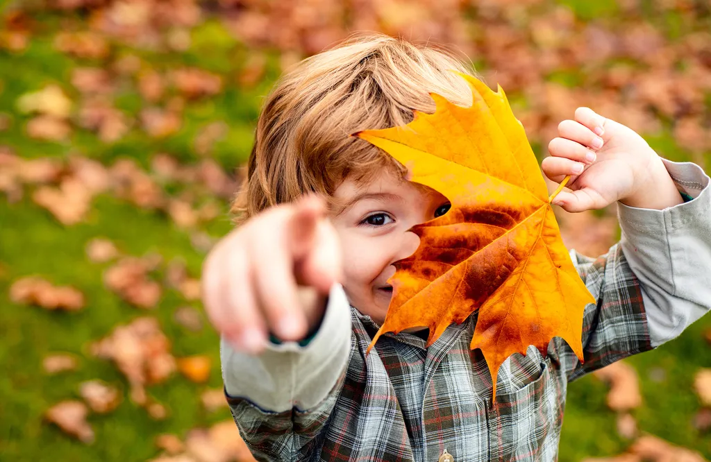 Ein Kind hält sich spielerisch ein großes Herbstblatt vor ein Auge, im Hintergrund sind Gras und Laub zu sehen.