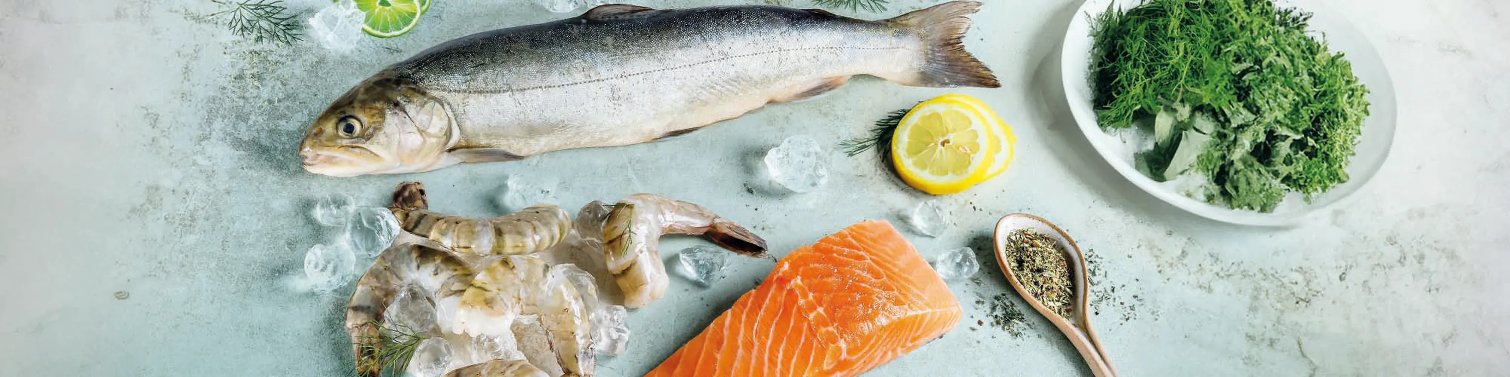 Ein frischer Fisch, mehrere Garnelen und ein Stück Lachsfilet auf einem hellblauen Untergrund