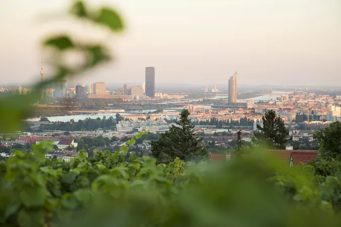 City skyline at sunset with tall buildings in the background and leafy foreground, creating a picturesque urban landscape.