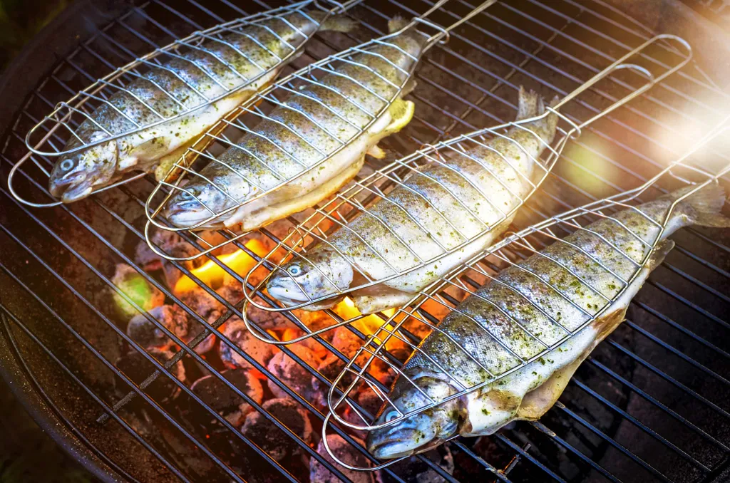 Vier Fische, die in Drahtkörben auf einem Grill braten, darunter Flammen und Glut.