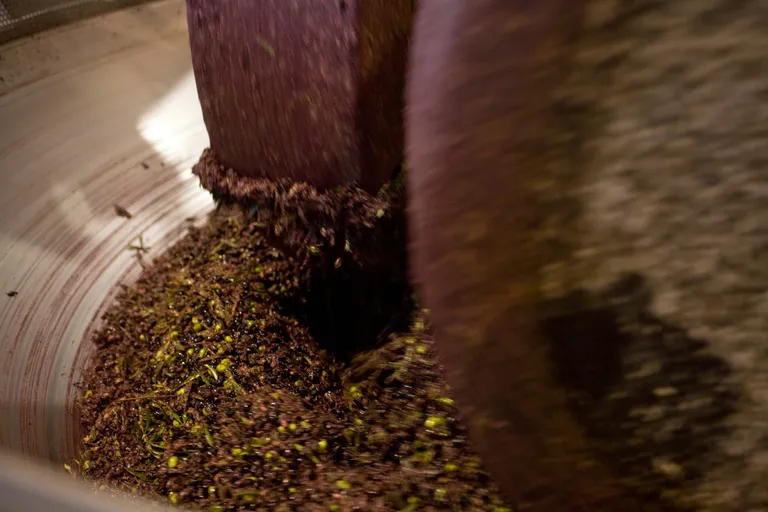 Nahaufnahme von Olivenpaste, die in einer traditionellen Steinmühle zerkleinert und vermischt wird, wobei die Textur und die leuchtenden Farben besonders hervorgehoben werden.