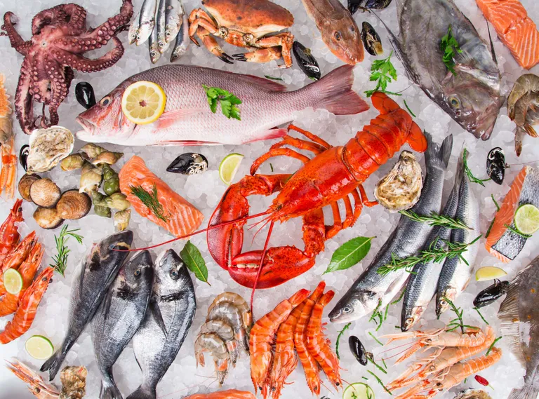 Eine Auswahl an frischen Meeresfrüchten auf Eis, darunter Fisch, Garnelen, Krabben, Hummer, Tintenfisch und Muscheln, garniert mit Zitrone und Kräutern.