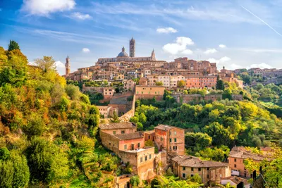 Historische Altstadt von Siena mit Dom und mittelalterlicher Architektur in der Toskana