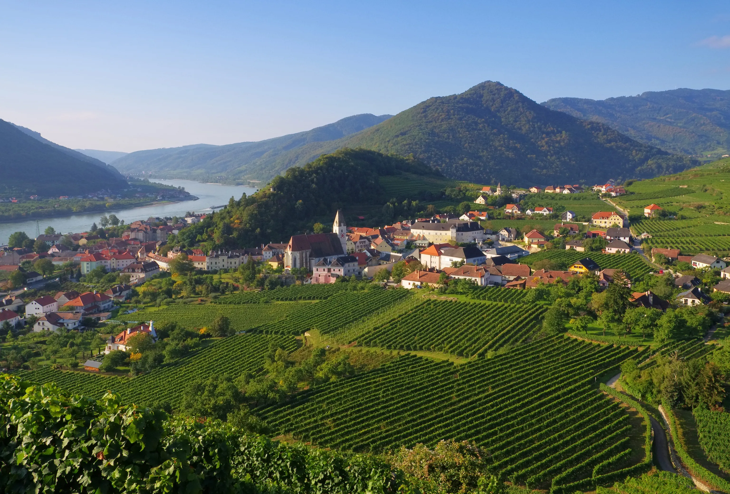 Ein malerisches Dorf mit Häusern mit roten Dächern und einer Kirche, eingebettet inmitten üppiger Weinberge, mit einem Fluss und bewaldeten Hügeln im Hintergrund.