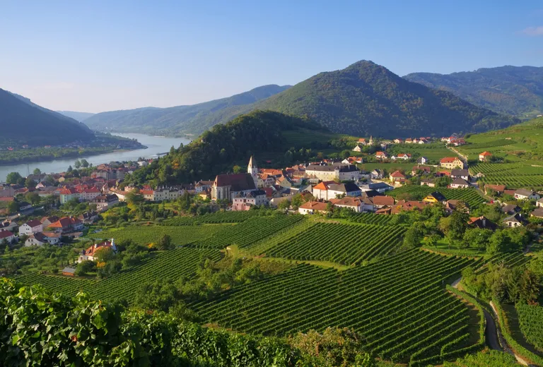 Ein malerisches Dorf mit Häusern mit roten Dächern und einer Kirche, eingebettet inmitten üppiger Weinberge, mit einem Fluss und bewaldeten Hügeln im Hintergrund.
