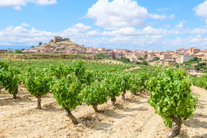 Ein Weinberg mit grünen Weinreben im Vordergrund, ein historisches Dorf und eine Burg auf einem Hügel unter blauem Himmel mit Wolken im Hintergrund.