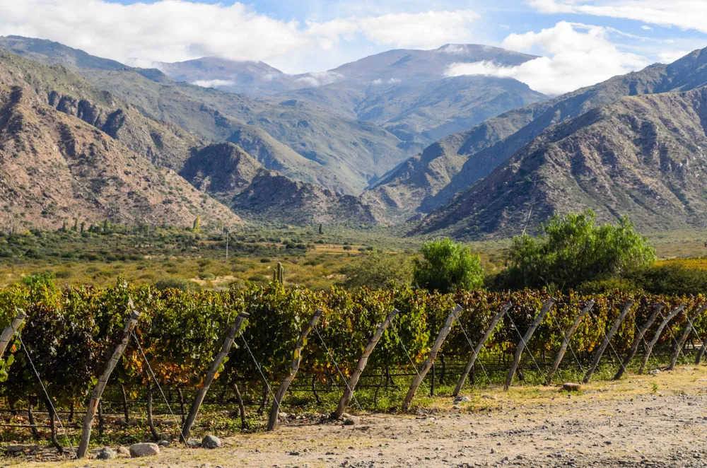 Weinbaugebiet in Argentinien, im Herbst