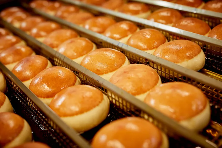 Mehrere frische Krapfen beim Frittieren in heißem Fett in einem Krapfenfritter