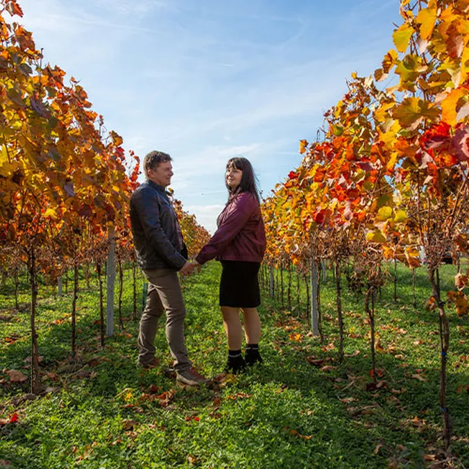 Die Winzer Keringer zwischen herbstlichen Weinreben, Hand in Hand bei klarem Himmel.
