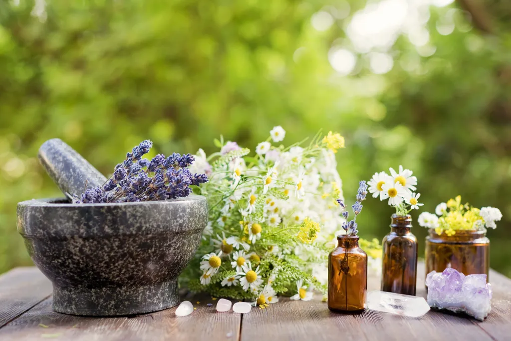 Mörser mit Lavendel sowie Heilkräuter, ätherische Öle und Blüten auf Holztisch im Garten – natürliche Aromatherapie