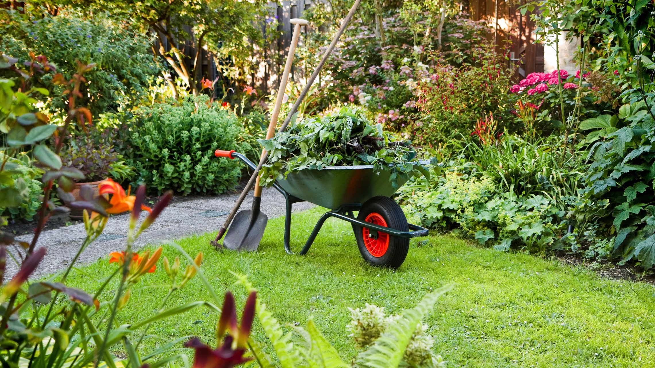 Schubkarre befüllt mit Strauchschnitt in einem üppig grünen Garten
