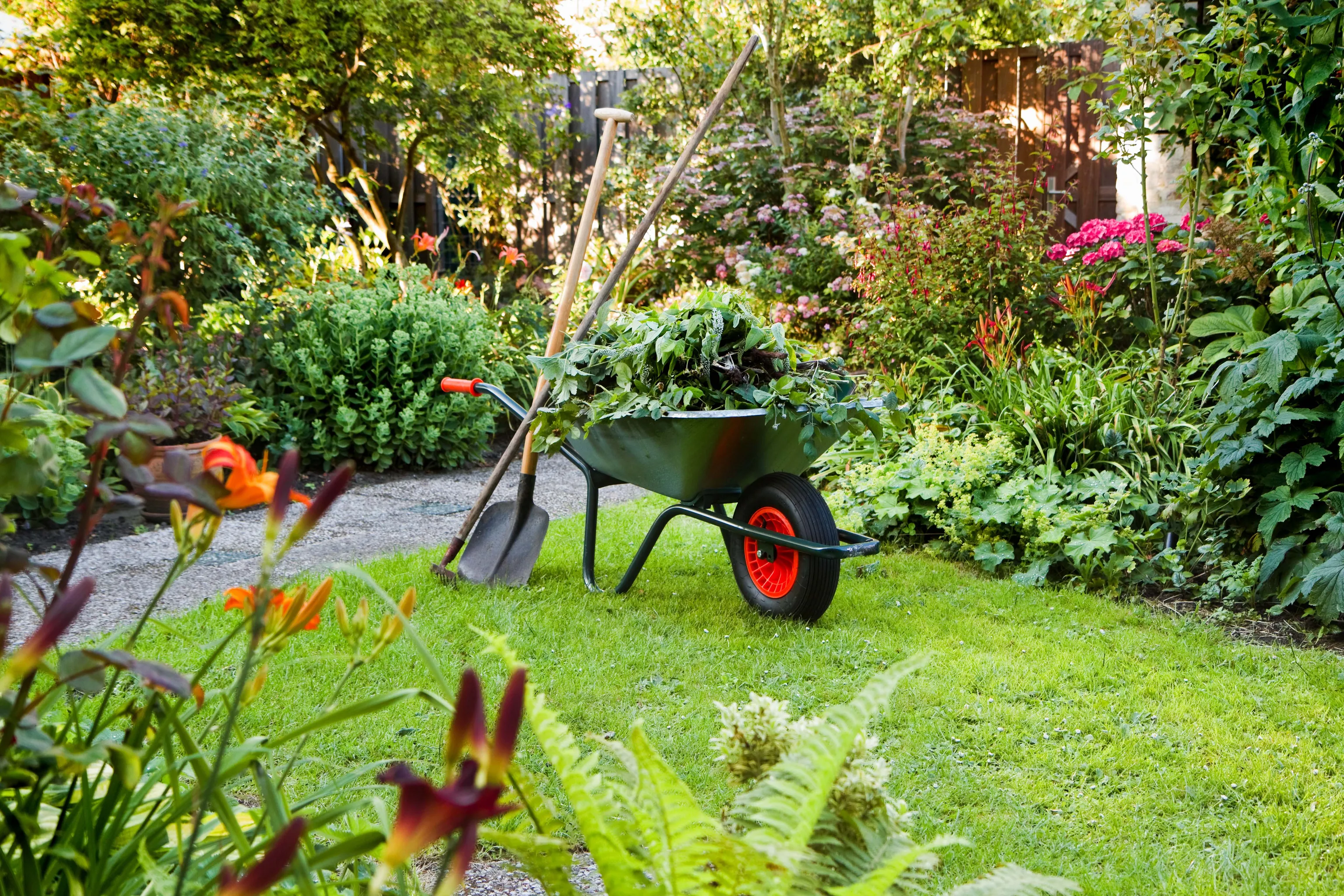 Schubkarre befüllt mit Strauchschnitt in einem üppig grünen Garten