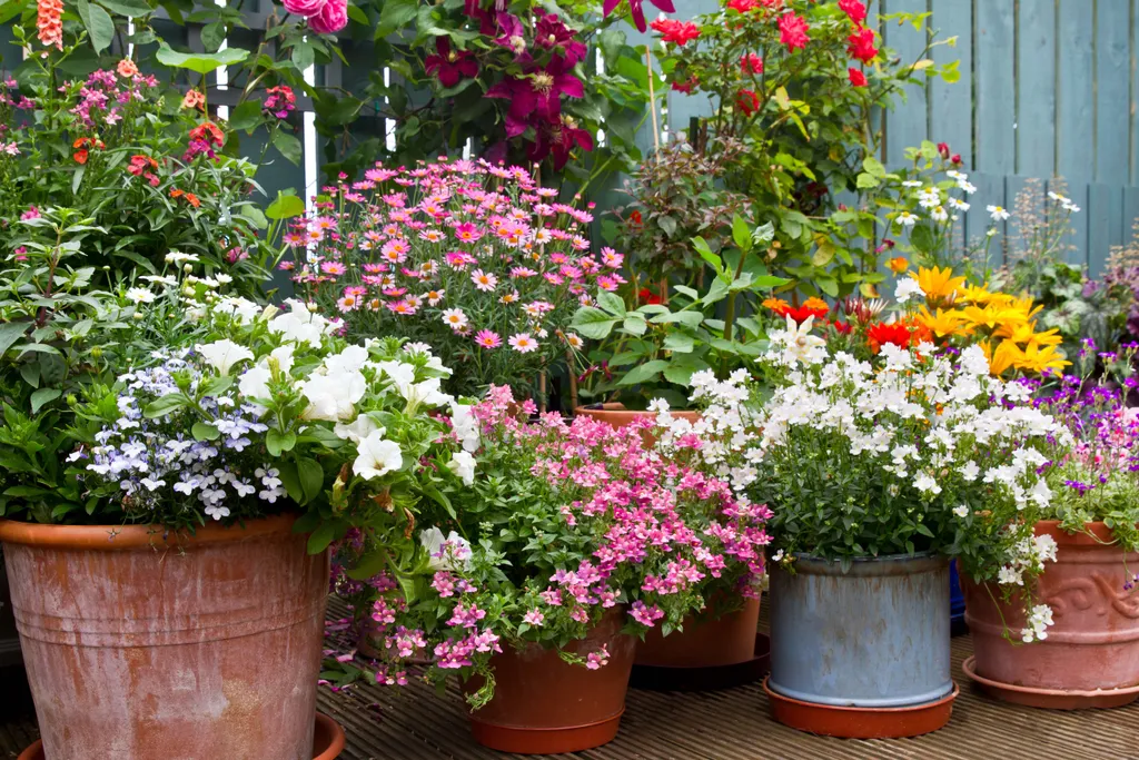 Eine Terrasse voller Blumentöpfe mit Blühpflanzen