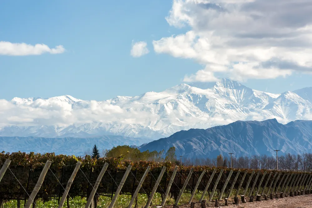 Weinbaugebiet in Chile