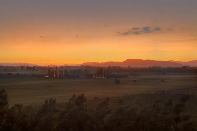 Sonnenuntergang über einer ländlichen Landschaft mit den Silhouetten von Bäumen und Bergen vor einem orangefarbenen Himmel.