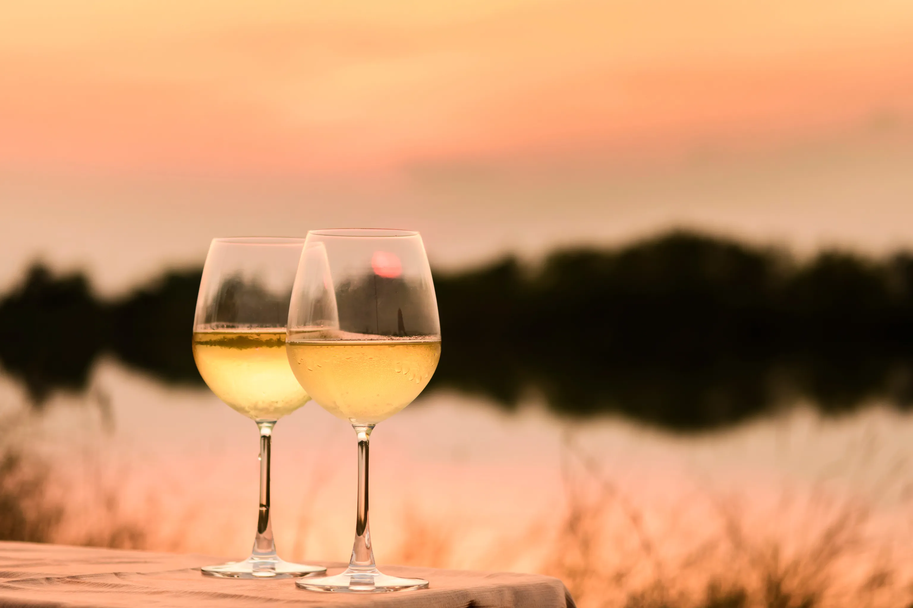 Zwei Gläser Weißwein auf einem Tisch, im Hintergrund ein verschwommener Sonnenuntergang und ein See.