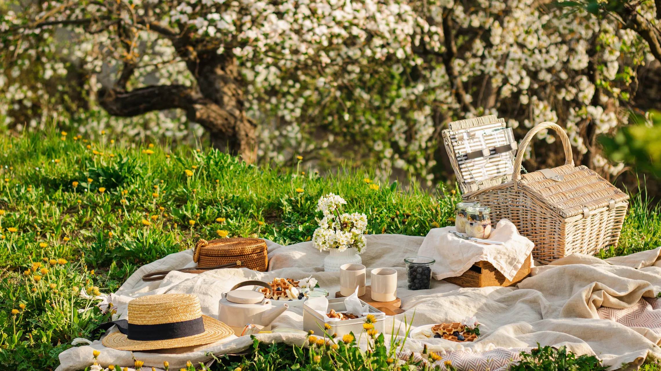 Frühlingshaftes Picknick mit Picknickkorb, Decke und Frühstück unter blühenden Obstbäumen