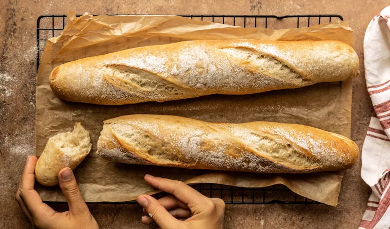 Zwei frisch gebackene Baguettes auf Backpapier, daneben Hände, die ein Stück Brot halten. Daneben liegt ein gestreiftes Handtuch.