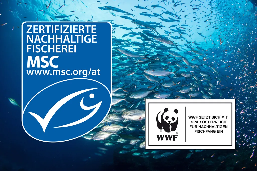 Blaue MSC- und WWF-Logos über einem Fischschwarm mit deutschem Text, der für zertifizierte nachhaltige Fischerei wirbt.