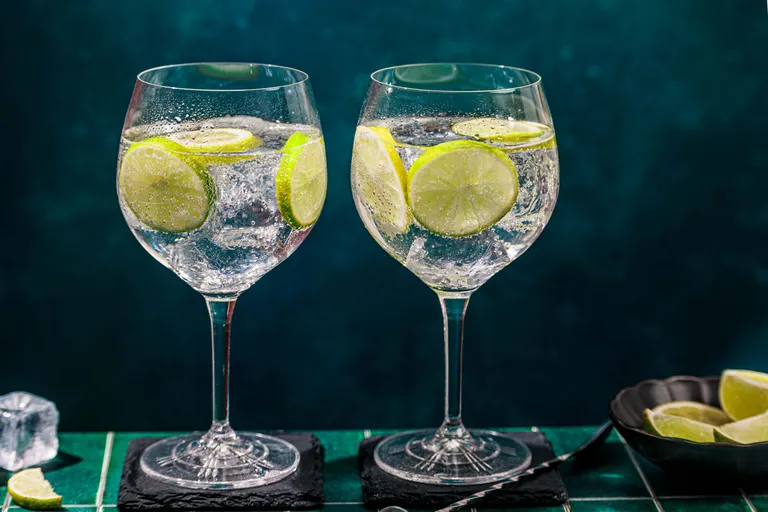Zwei Gläser Sprudelwasser mit Limettenscheiben auf Untersetzern, daneben eine Schale mit Limettenschnitzen und ein Eiswürfel, vor einem dunklen Hintergrund.