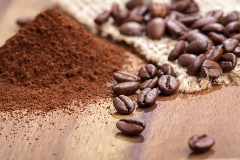 Geröstete Kaffeebohnen und fein gemahlenes Kaffeepulver auf einer Holzoberfläche