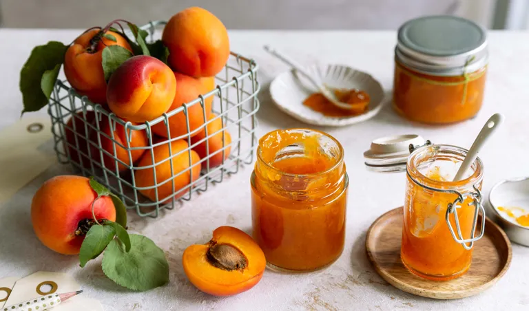 Gläser mit selbstgemachter Marillenmarmelade und frischen Marillen auf dem Tisch