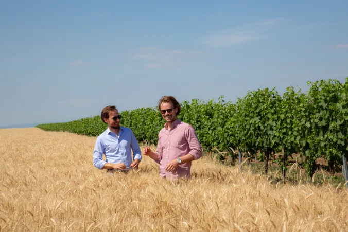 Zwei Männer in einem Weizenfeld, der eine in einem blauen Hemd, der andere in einem rosa, unterhalten sich lächelnd in der Nähe eines grünen Weinbergs unter einem strahlend blauen Himmel.