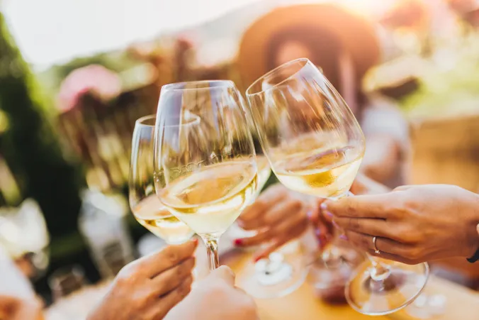 Vier Personen stoßen im Freien mit Gläsern Weißwein an, im Hintergrund sind Sonnenlicht und verschwommene Grünflächen zu sehen.