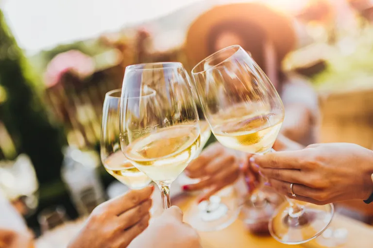 Vier Personen stoßen im Freien mit Gläsern Weißwein an, im Hintergrund sind Sonnenlicht und verschwommene Grünflächen zu sehen.