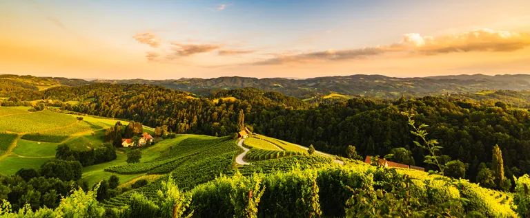 Sanfte Hügel mit üppigen Weinbergen unter einem goldenen Sonnenuntergangshimmel, übersät mit Häusern und gesäumt von kurvenreichen Straßen.