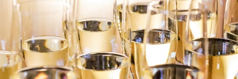 Nahaufnahme mehrerer Gläser, die mit prickelndem Sekt gefüllt sind, wobei Bläschen und Reflexionen zu sehen sind.