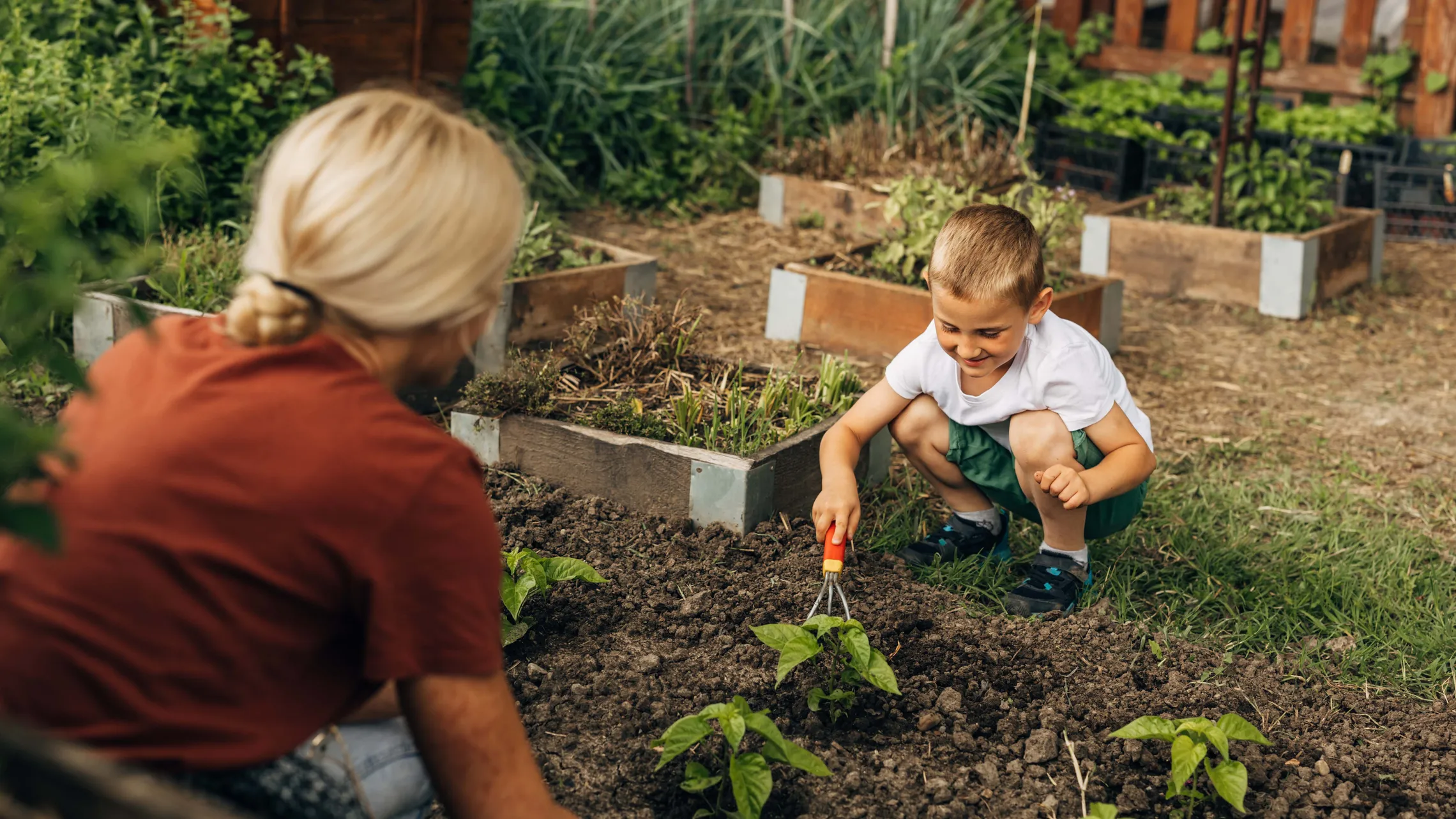 Mutter und Sohn arbeiten im Gemüsegarten