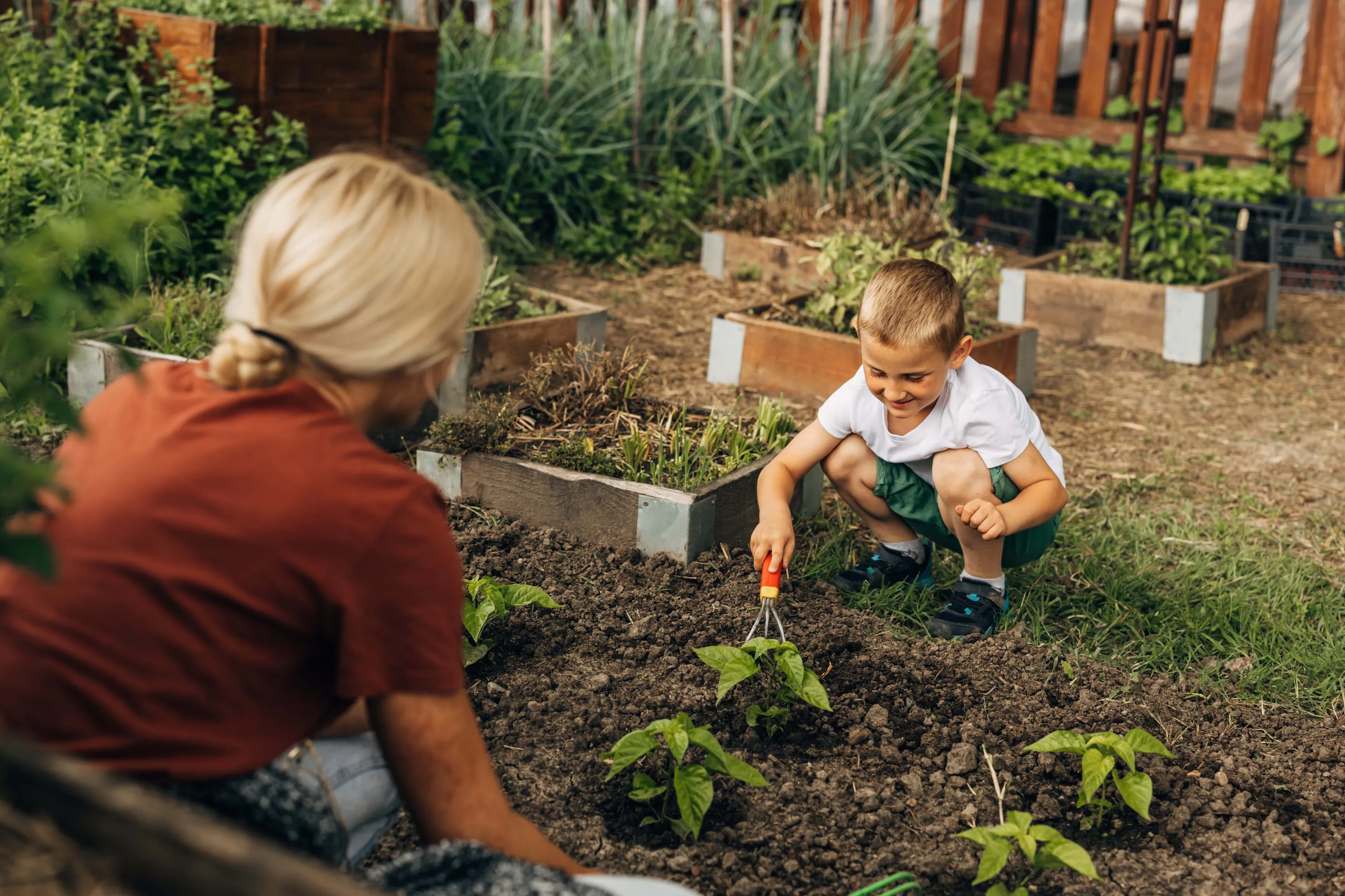 Mutter und Sohn arbeiten im Gemüsegarten