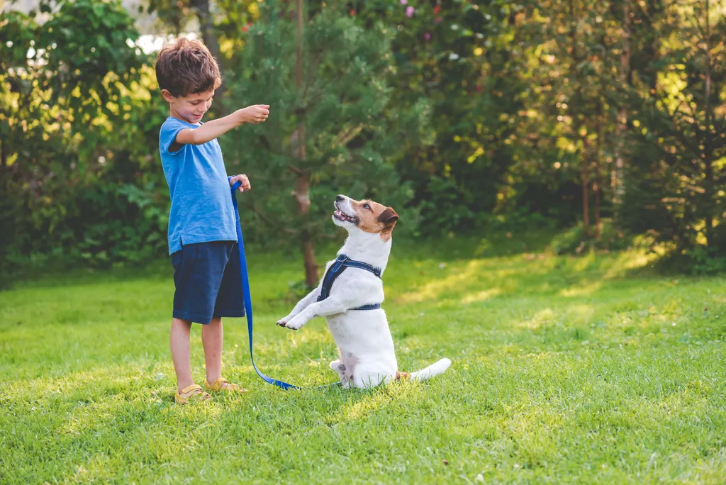 Junge übt mit seinem Hund ein Kommando im Garten