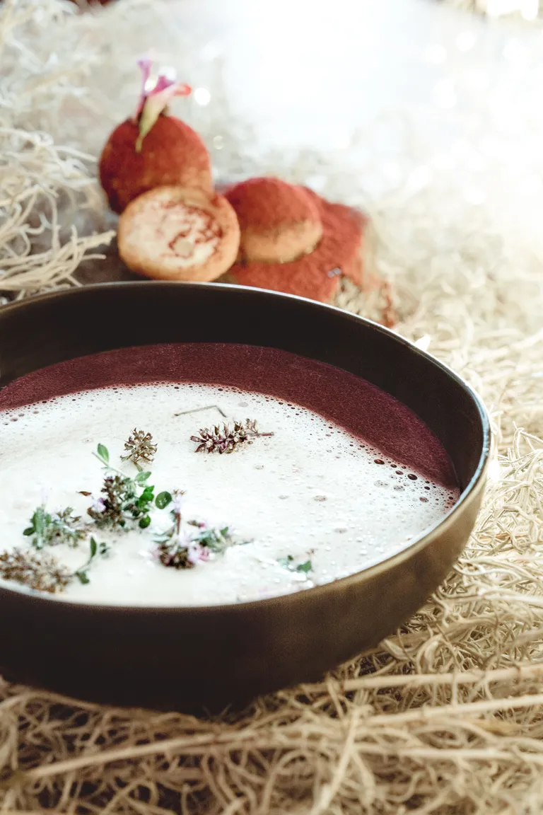 Dunkelrote Rotkrautsuppe mit hellem Thymianschaum und frischen Kräutern in einer Schale, dekorativ angerichtet