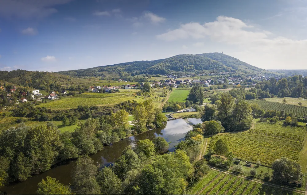 Weinberglandschaft im Kamptal