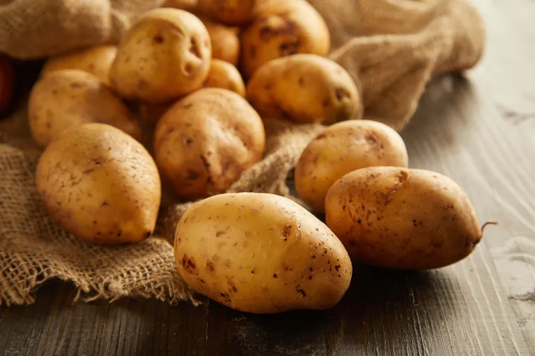 Frische Kartoffeln auf Jutesack als Symbol für natürliche und richtige Kartoffellagerung